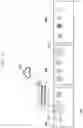 Fig. 26 - Method and apparatus for providing notification by interworking plurality of electronic devices