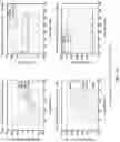 Fig. 16 - Scrambling sequence design for multi-mode block discrimination on DCI blind detection