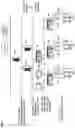 Fig. 02 - Communication system, communication apparatus, and communication method