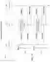 Fig. 15 - PARAMETERIZED QUALITY OF SERVICE IN A NETWORK