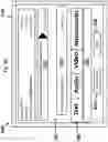Fig. 12 - PRIORITY BASED COMMUNICATION AND ORGANIZATION SYSTEM