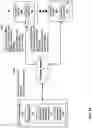Fig. 02 - Automatic recovery from duplicate network addresses