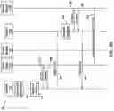 Fig. 05 - Mechanism for encryption key distribution in computer networks