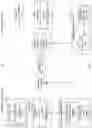 Fig. 06 - Translating existing security policies enforced in upper layers into new security policies enforced in lower layers