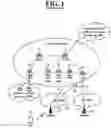 Fig. 02 - Method and terminal for creating, modifying, releasing session in next-generation mobile communication