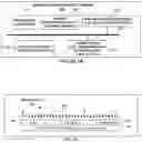 Fig. 05 - Ethernet virtual private network using segment routing