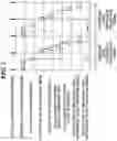 Fig. 04 - Image capture apparatus capable of performing HDR combination, method of controlling same, and storage medium
