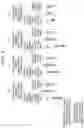 Fig. 07 - Image capture apparatus capable of performing HDR combination, method of controlling same, and storage medium