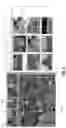 Fig. 07 - Networked video management and recording system