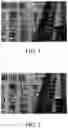 Fig. 02 - Control apparatus, image capturing apparatus, control method, and non-transitory computer-readable storage medium