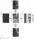 Fig. 06 - Zoomed in region of interest
