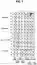 Fig. 08 - Image processing device and image pickup apparatus for processing divisional pixal signals to generate divisional image data