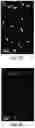 Fig. 08 - SUB-DIFFRACTION LIMIT IMAGE RESOLUTION IN THREE DIMENSIONS