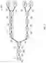 Fig. 08 - Systems and methods for decoupled optical network link traversal