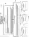 Fig. 09 - Systems and methods for decoupled optical network link traversal