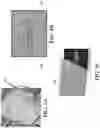 Fig. 02 - Printed circuit board to dielectric layer transition with controlled impedance and reduced and/or mitigated crosstalk for quantum applications