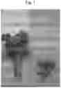 Fig. 02 - METHODS FOR BREEDING SHORT CELERY