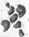Fig. 68 - System and method for designing and manufacturing a protective helmet tailored to a selected group of helmet wearers