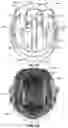 Fig. 79 - System and method for designing and manufacturing a protective helmet tailored to a selected group of helmet wearers