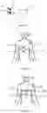 Fig. 02 - System for determining a set of at least one cardio-respiratory descriptor of an individual during sleep
