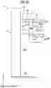 Fig. 27 - Radiography apparatus