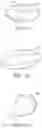 Fig. 05 - INTRAGASTRIC DEVICE WITH EXPANDABLE PORTIONS