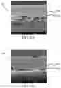 Fig. 03 - Fibrinogen-based tissue adhesive patch