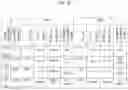 Fig. 19 - RAPID AND CONTROLLED DELIVERY OF COMPOSITIONS WITH RESTORED ENTOURAGE EFFECTS
