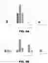 Fig. 12 - INHIBITORS OF DNA PK AND USES THEREOF