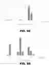 Fig. 14 - INHIBITORS OF DNA PK AND USES THEREOF