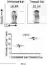Fig. 02 - Compositions and methods for suppressing or reducing systemic immune response in a subject
