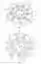 Fig. 02 - Whirling tool