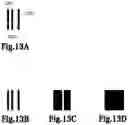 Fig. 14 - Information processing apparatus, method and storage medium