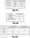 Fig. 16 - Information processing apparatus, method and storage medium