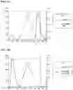 Fig. 12 - T CELL RETARGETING HETERO-DIMERIC IMMUNOGLOBULINS
