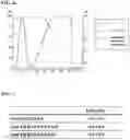 Fig. 16 - T CELL RETARGETING HETERO-DIMERIC IMMUNOGLOBULINS