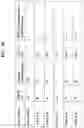 Fig. 23 - T CELL RETARGETING HETERO-DIMERIC IMMUNOGLOBULINS
