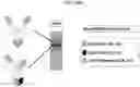 Fig. 43 - T CELL RETARGETING HETERO-DIMERIC IMMUNOGLOBULINS