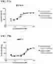 Fig. 47 - T CELL RETARGETING HETERO-DIMERIC IMMUNOGLOBULINS
