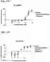 Fig. 49 - T CELL RETARGETING HETERO-DIMERIC IMMUNOGLOBULINS