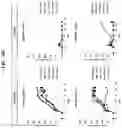 Fig. 52 - T CELL RETARGETING HETERO-DIMERIC IMMUNOGLOBULINS