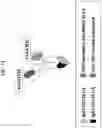 Fig. 58 - T CELL RETARGETING HETERO-DIMERIC IMMUNOGLOBULINS