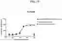 Fig. 67 - T CELL RETARGETING HETERO-DIMERIC IMMUNOGLOBULINS