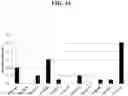 Fig. 69 - T CELL RETARGETING HETERO-DIMERIC IMMUNOGLOBULINS