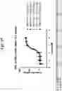 Fig. 72 - T CELL RETARGETING HETERO-DIMERIC IMMUNOGLOBULINS