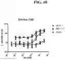 Fig. 75 - T CELL RETARGETING HETERO-DIMERIC IMMUNOGLOBULINS