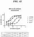 Fig. 78 - T CELL RETARGETING HETERO-DIMERIC IMMUNOGLOBULINS
