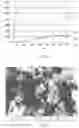 Fig. 02 - FLAME-RESISTANT STRUCTURAL COMPOSITE MATERIAL