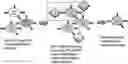 Fig. 01 - Methods and compositions for identifying epitopes