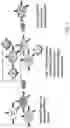Fig. 02 - Methods and compositions for identifying epitopes